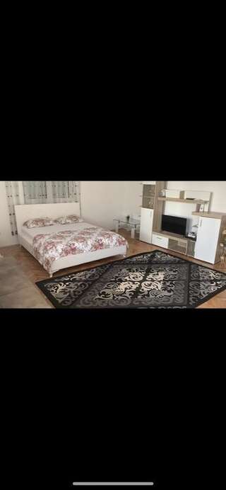 Гостевой дом Apartments Dibra Улцинь Апартаменты с 1 спальней-4